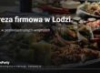 Impreza firmowa w Łodzi – catering na pokładzie imprezowego tramwaju TramParty