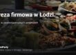 Impreza firmowa w Łodzi – catering na pokładzie imprezowego tramwaju TramParty