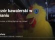Wieczór kawalerski w Poznaniu – uczestnik w przebraniu kurczaka w imprezowym tramwaju TramParty